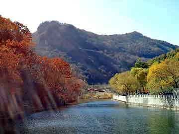 桐乡车祸深度报道，事故现场及后续处理最新情况